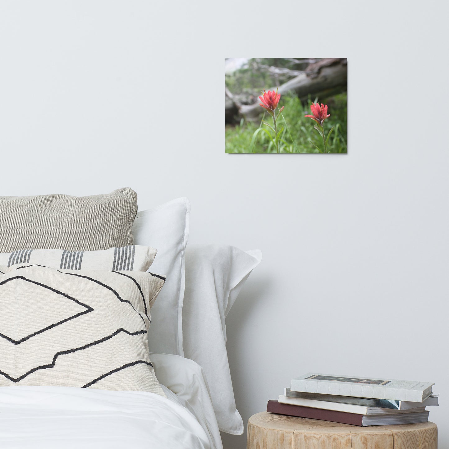 WY Indian Paintbrush x2 Metal Print