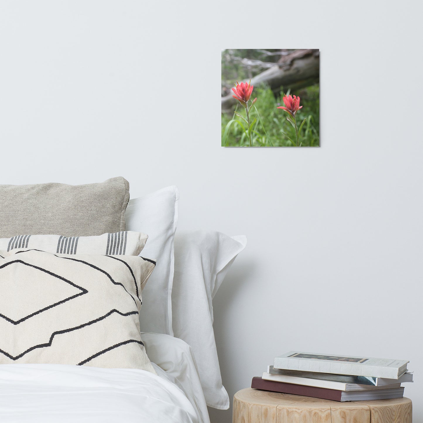 WY Indian Paintbrush x2 Metal Print