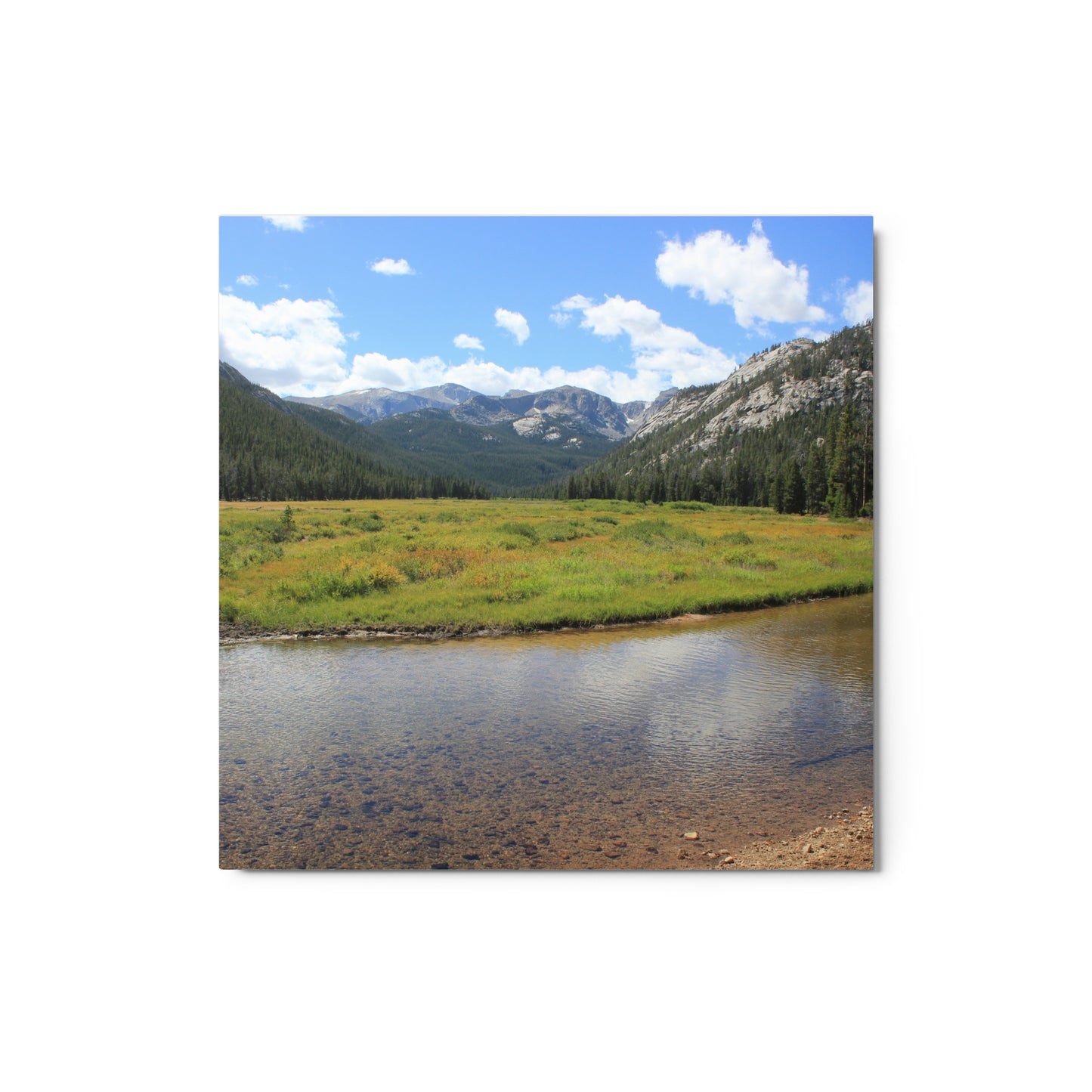 Alpine River Metal Print