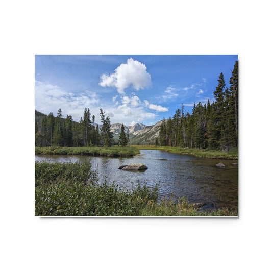 Tranquil Meadow Metal Print